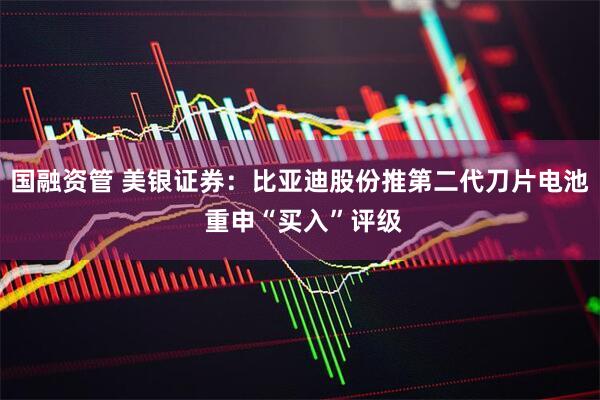 国融资管 美银证券：比亚迪股份推第二代刀片电池 重申“买入”评级