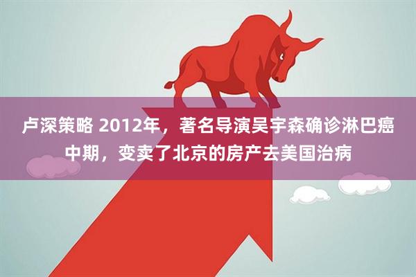 卢深策略 2012年，著名导演吴宇森确诊淋巴癌中期，变卖了北京的房产去美国治病