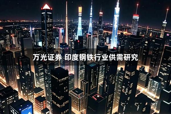 万光证券 印度钢铁行业供需研究